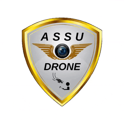 Assudrone GIF