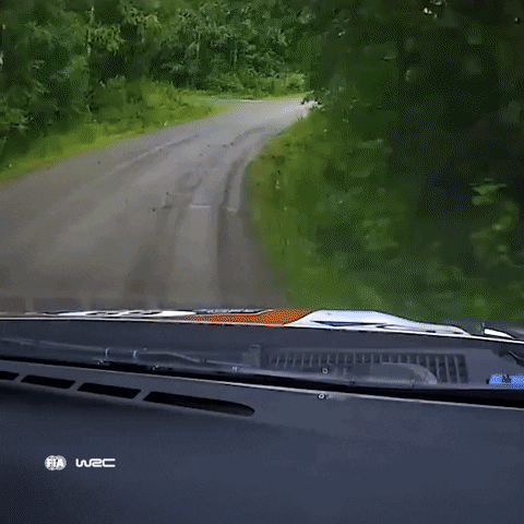 Fail Bad Luck GIF by FIA World Rally Championship