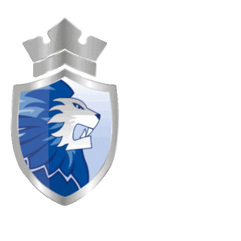 Ijshockeynederland Sticker by @dordrechtlions