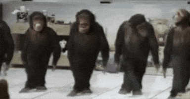 Monkey Dance GIF
