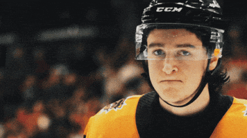 Hockey Nhl GIF by Brantford Bulldogs