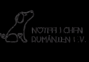 Notfellchen Rumänien e.V. GIF