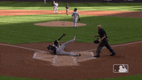 Willy Adames Brewers GIF - Willy Adames Brewers Milwaukee Brewers