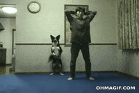 home video dog GIF