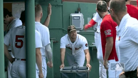 Red Sox Sport GIF