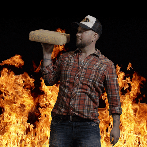 GIF by TRAUFFER