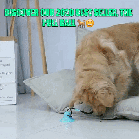 Puppy Lovely GIF