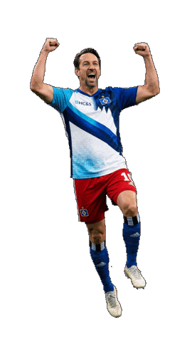 Hamburg Nurderhsv Sticker by HCundS