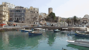 tomsjourneys malta GIF