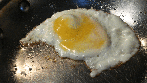 Fried egg cooking gif