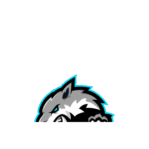 Wolves Sticker by Stock King Options