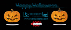 Yeditepe Cargo GIF