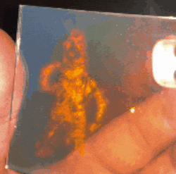 Animated GIF