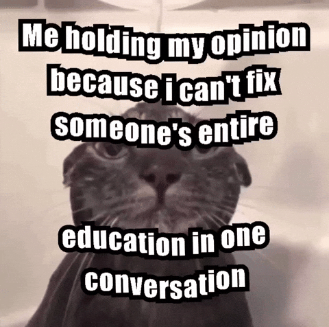 Cat Car GIF