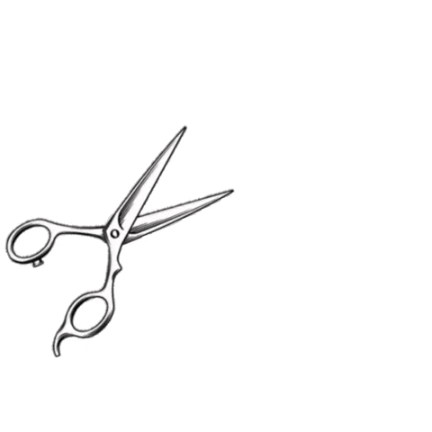 sasa purestyle comp GIF