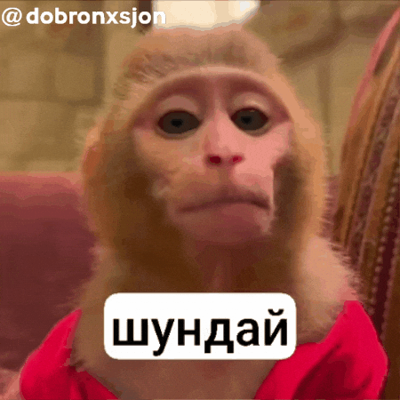 Monkey GIF