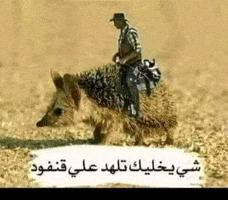 ميمز GIF