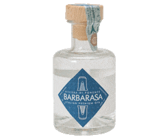 Italia Gin Sticker by Barbarasa