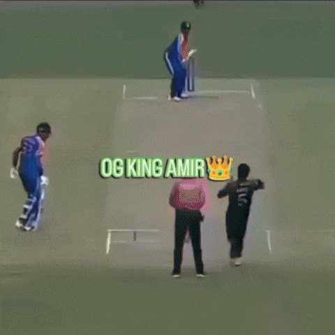 India King GIF