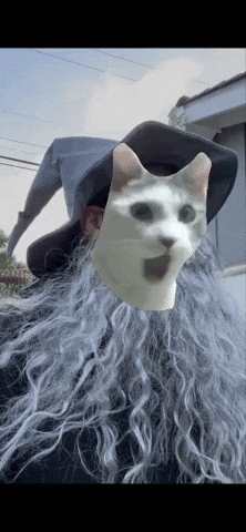 Doordaddywizard GIF