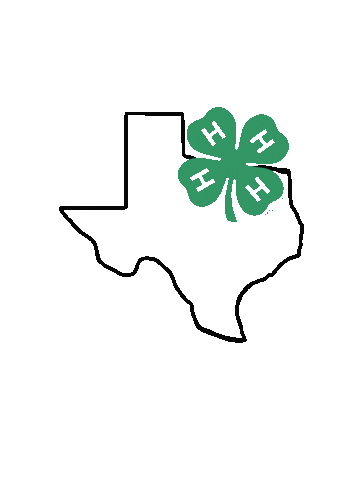 Texas 4-H Sticker
