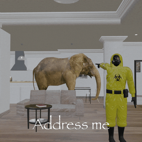 Elephant Dosa GIF