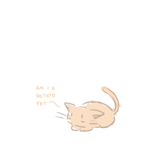 Cat Drawing GIF by hoppip Find & Share on GIPHY
