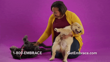 Golden Retriever Love GIF by Embrace Pet Insurance