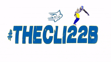 Limestone Football GIF