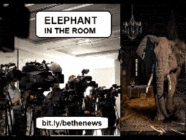 Elephant In The Room GIF
