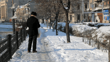 almaandreescu  GIF