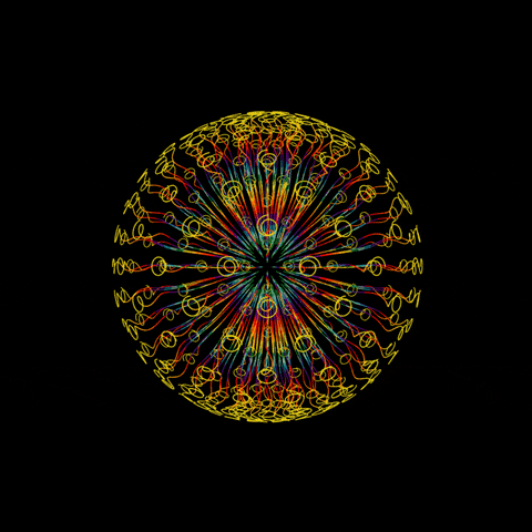 byrd  GIF