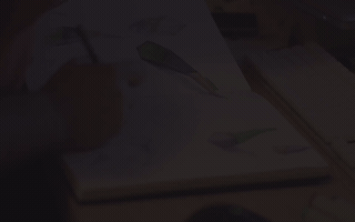 dimitrisniavis  GIF