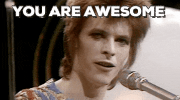 You Are Awesome David Bowie GIF by Justin
