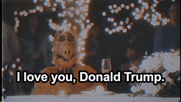 Donald Trump GIF by Funny Or Die