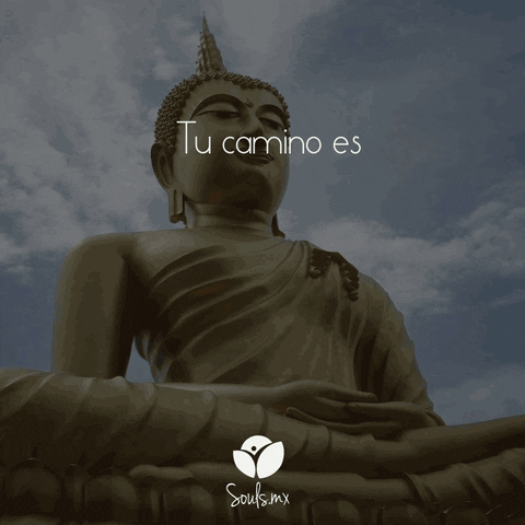 souls #buda #budismo #souls #centrosouls GIF