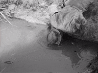 [Image: 200w.gif]