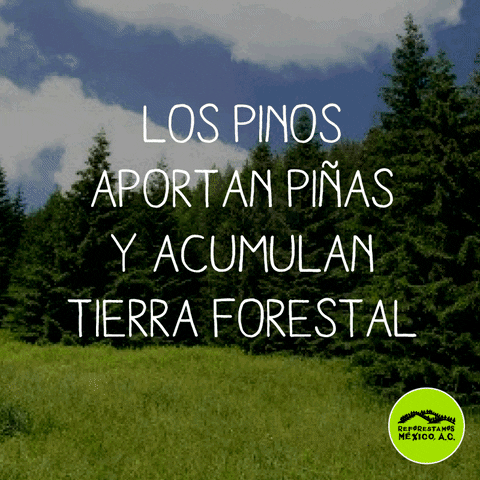 rubenhrodriguez  GIF