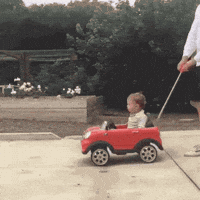 Cool Dog GIF