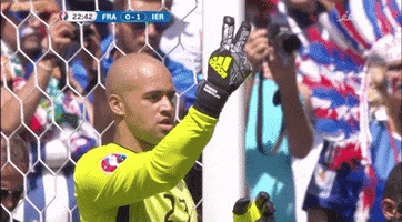 sporzaredactie euro 2016 euro2016 two euro