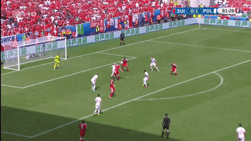 lidergif  GIF