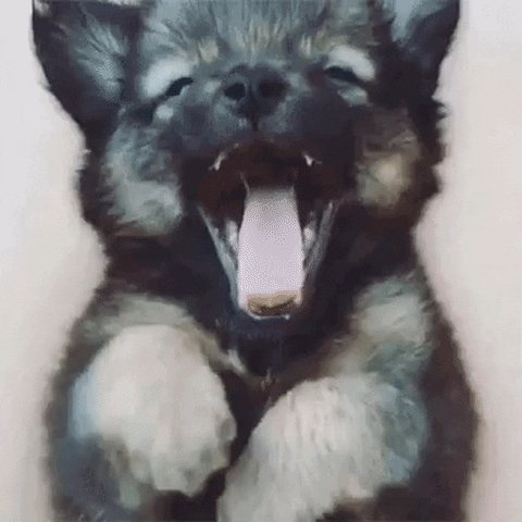 ouzo35  GIF