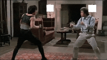 orayfrezh martial arts jackie chan sammo hung yuen biao GIF