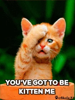 Cat Facepalm GIF