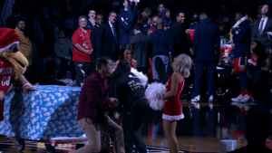 awesome new orleans pelicans GIF by NBA