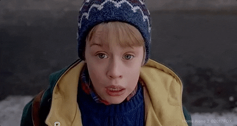 Christmas Wet Bandits GIF by Home Alone - Find & Share on GIPHY