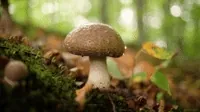 Biology course thumbnail