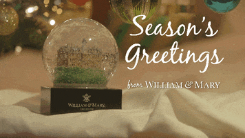Season'S Greetings Snow GIF by William & Mary