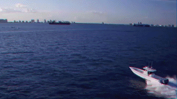 GIF by pocmedia