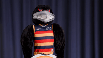 claude the crow GIF by Adelaide Crows